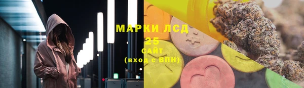 гашик Нея