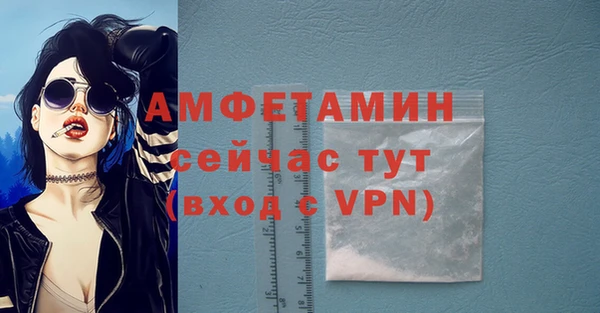 гашик Нея
